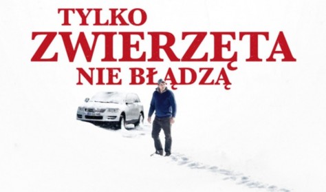 Tylko zwierzęta nie błądzą